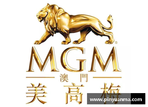 美高梅MGM官方网站黑曜石球星卡足球版全解析与收藏价值深入探讨 - 副本